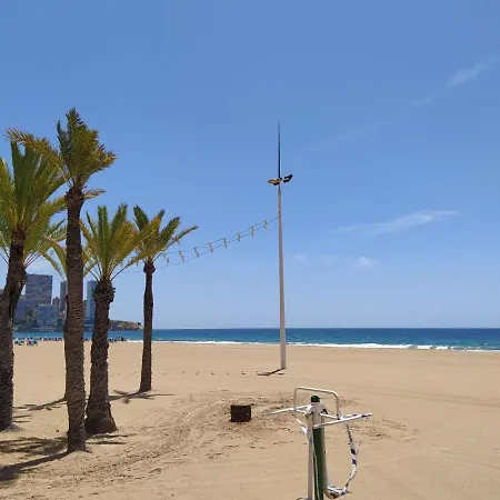 Palmeras Playa Levante First Line Benidorm